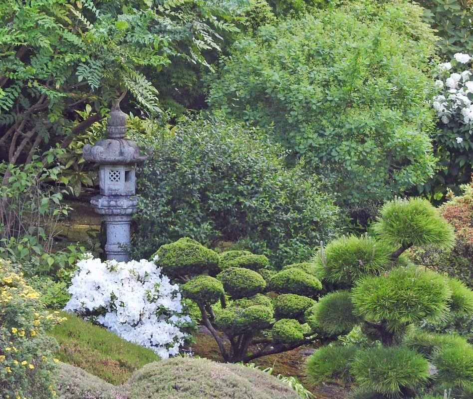 Japanese Garden 4