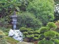 Japanese Garden 4
