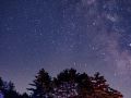 loone lake stars